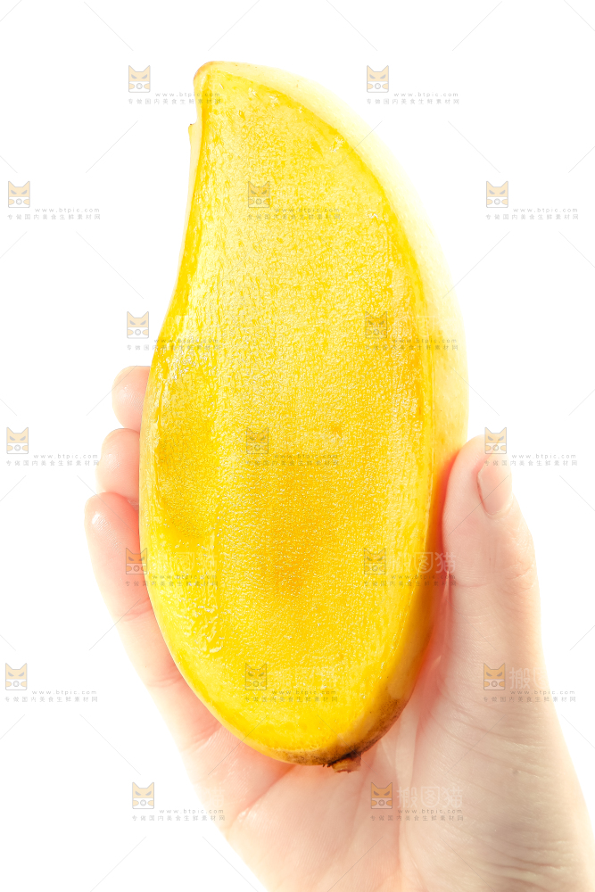 手里拿着缅甸进口鹰嘴芒