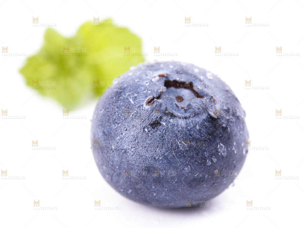 白底上摆放着蓝莓果