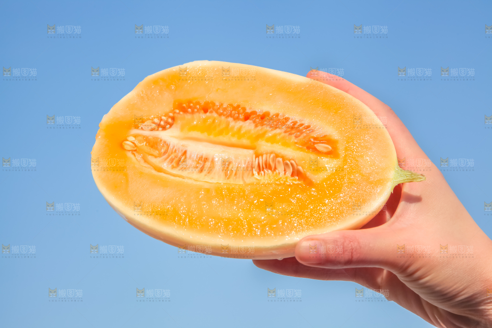 手里拿着东方蜜甜瓜