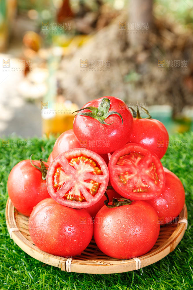 草地上放着一篮子米易沙瓤番茄