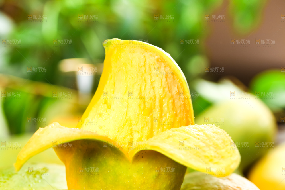 剥开皮的鹰嘴芒