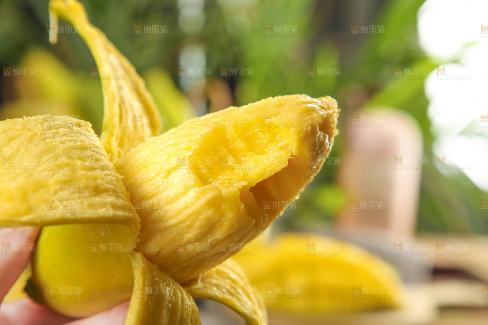 手里拿着芒果