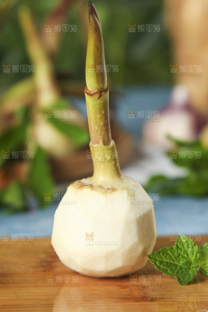 木底上放着燕尾菇