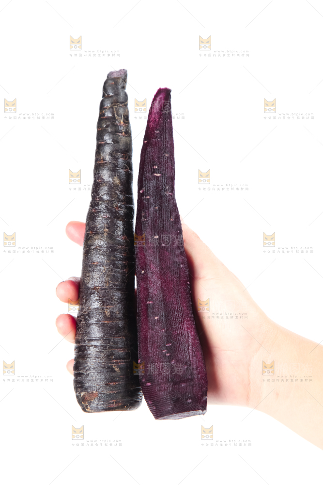 手里拿着紫胡萝卜