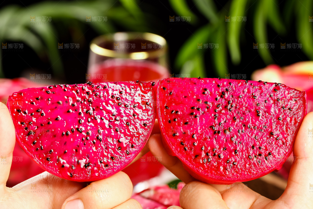 深底上的金都一号红心火龙果