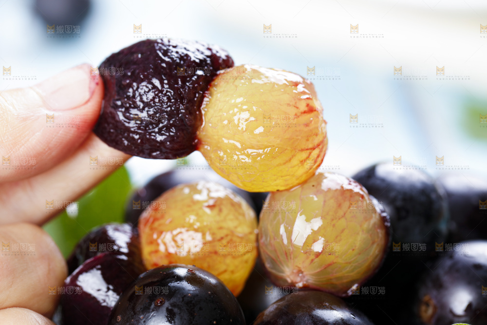 手里拿着云南夏黑葡萄