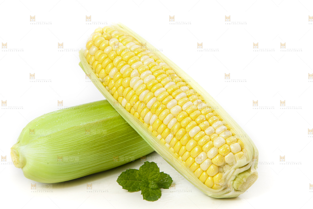 白底放着的玉米棒