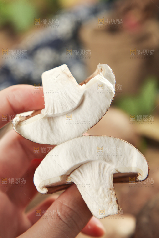 手里拿着蘑菇