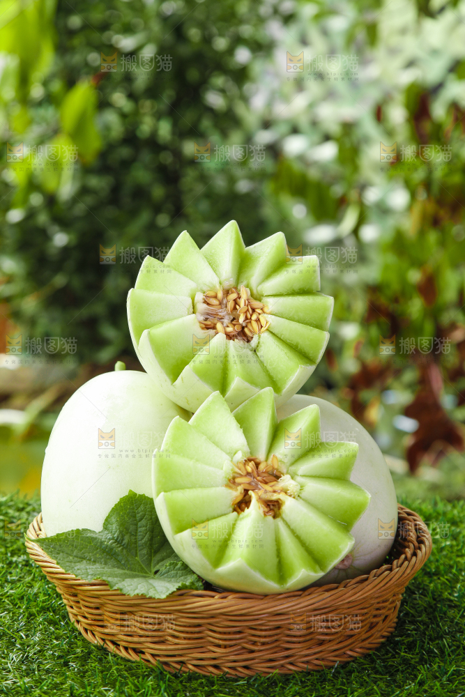 篮子里装着玉菇甜瓜