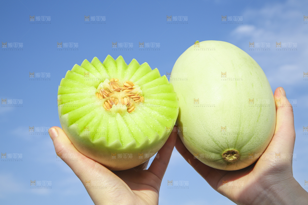 手里拿着玉菇甜瓜