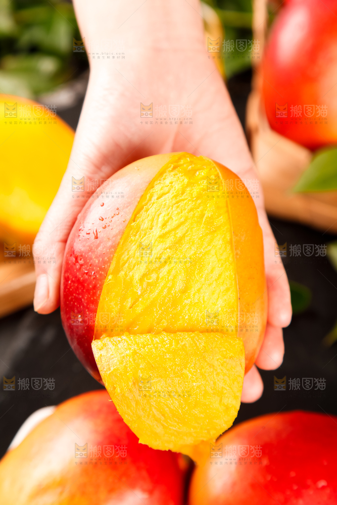 手里拿着吉禄芒果