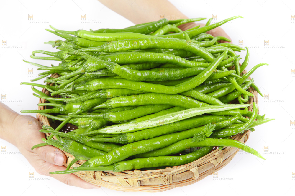 白底上的二荆条辣椒
