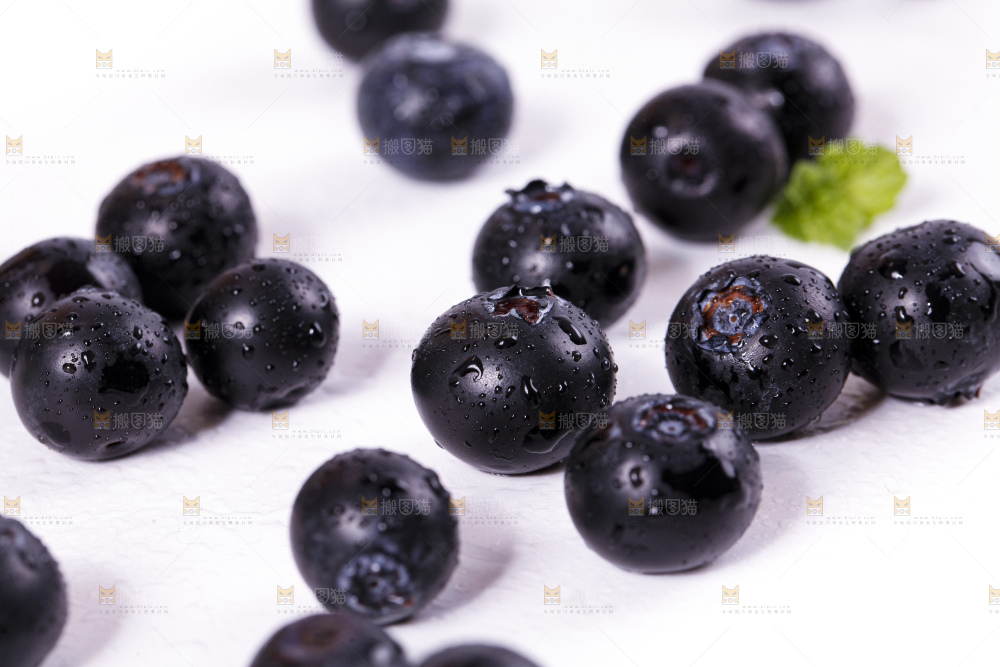 白底上摆放着蓝莓果