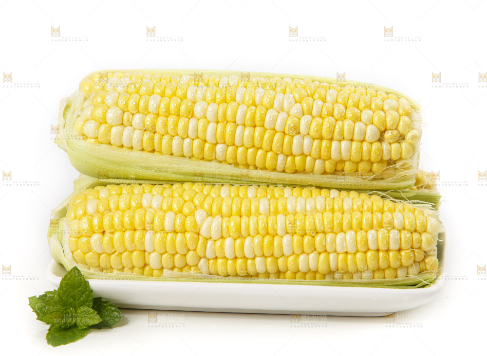 白底放着的玉米棒
