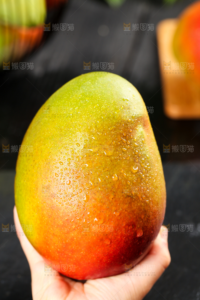 手里拿着新鲜芒果