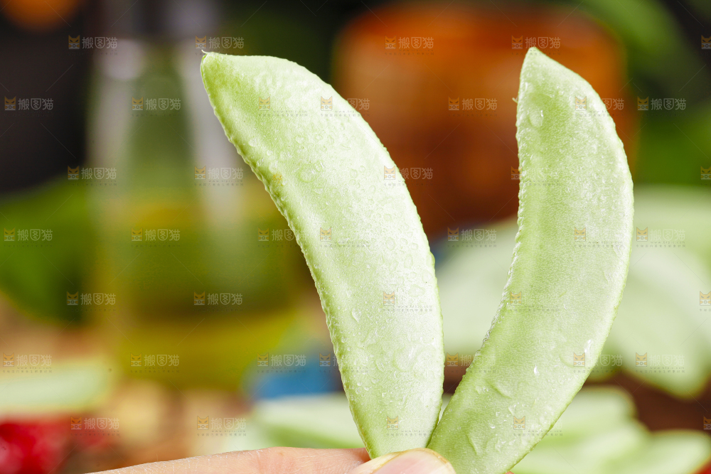 手里拿着扁豆