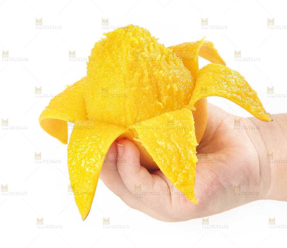 手里拿着小台农芒果肉