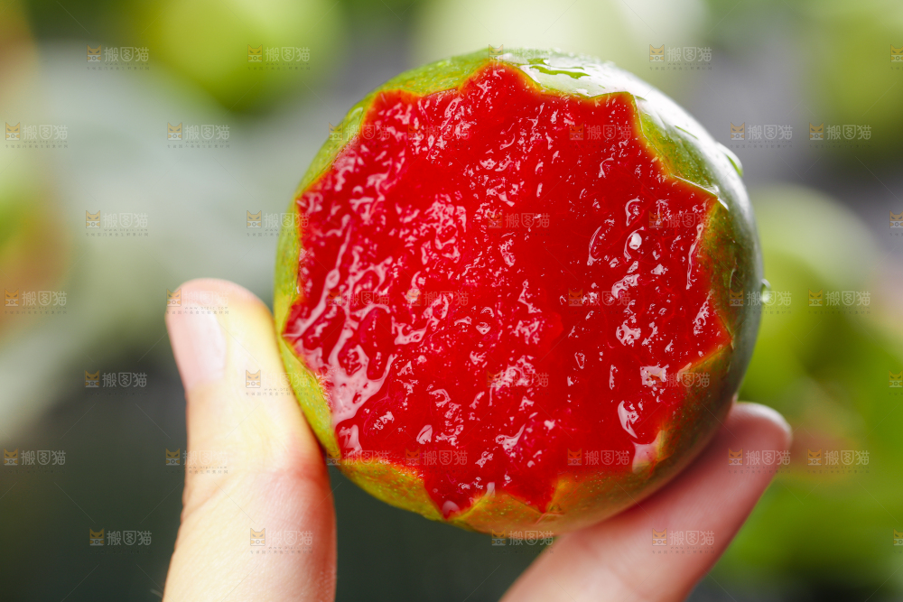 手里拿着广西红心李子