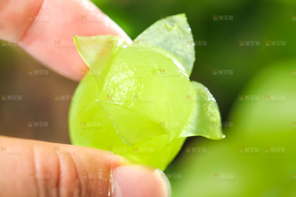 手里拿着青提