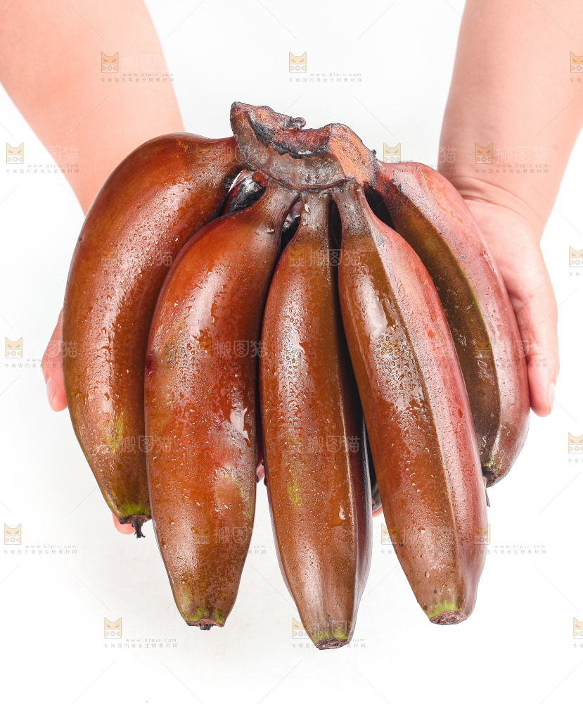 白底上的红皮美人蕉