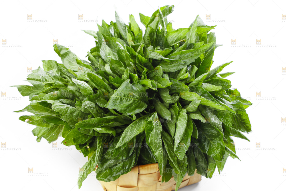 篮子里装着苋菜