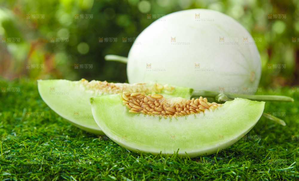 绿草地上摆放着玉菇甜瓜