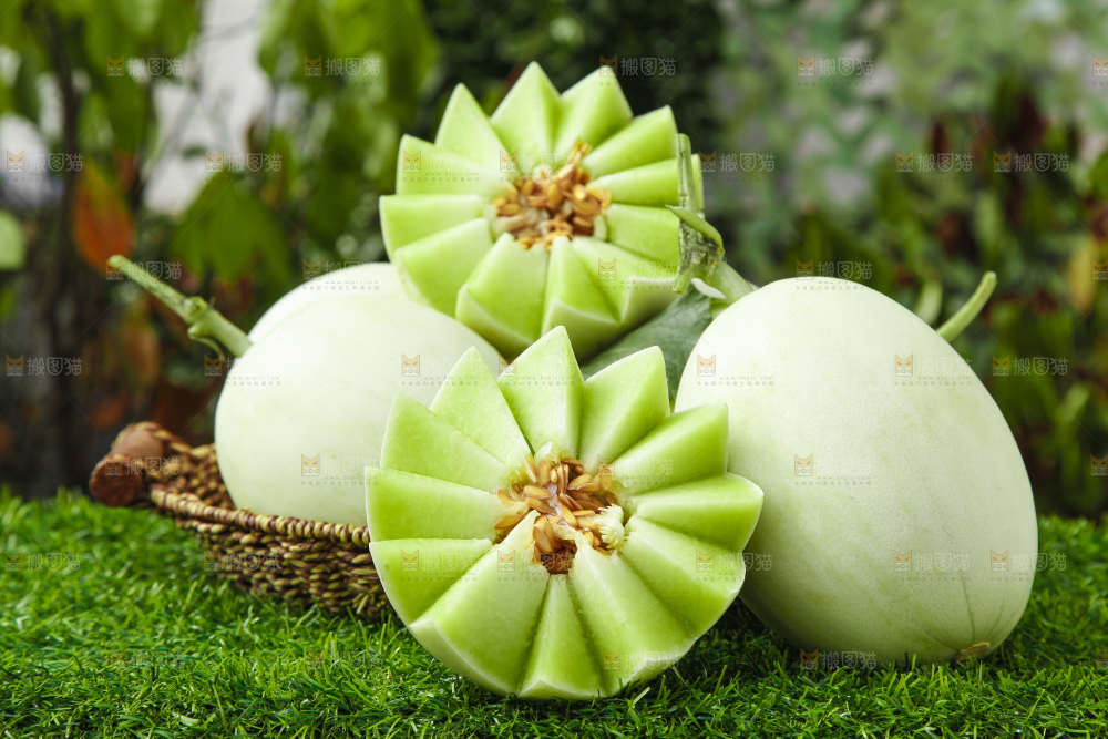 绿草地上摆放着玉菇甜瓜