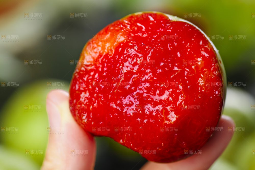 手里拿着广西红心李子