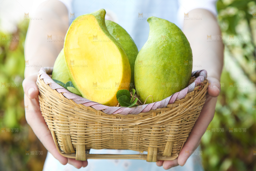 篮子里装着新鲜鹰嘴芒