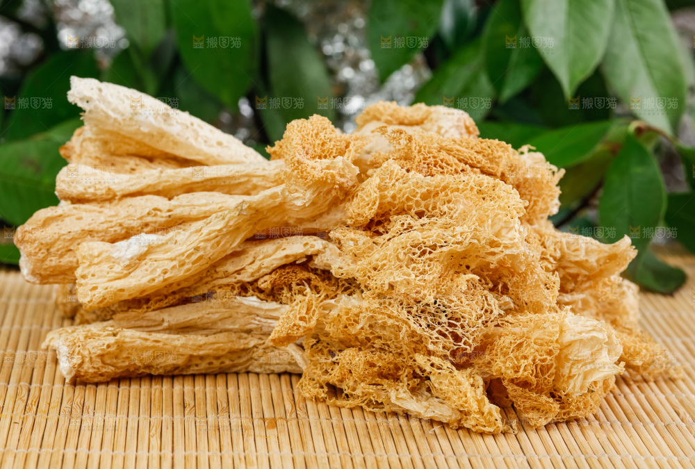木底上放着古田竹荪
