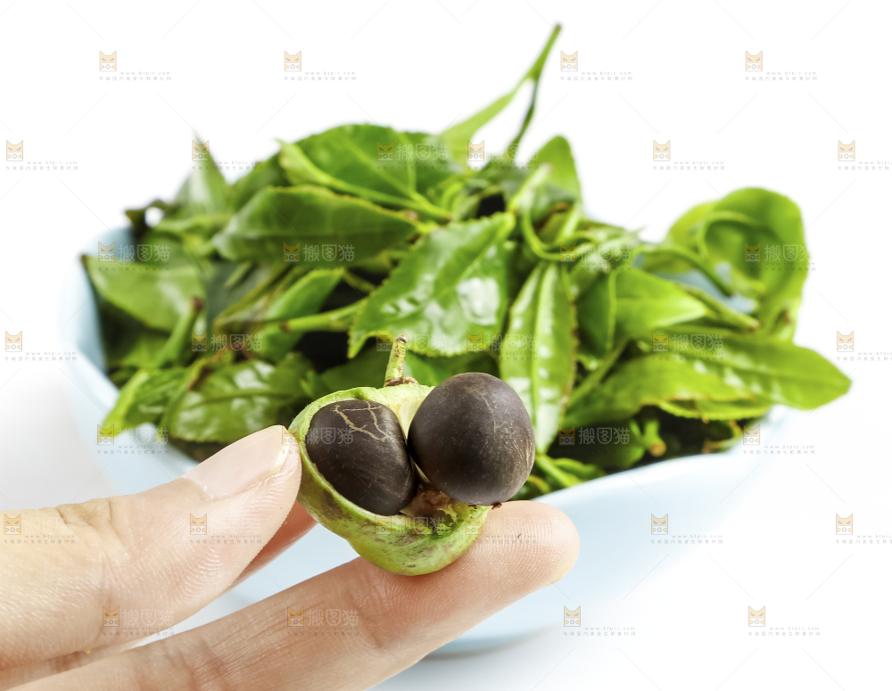 白底上摆放着茶叶子