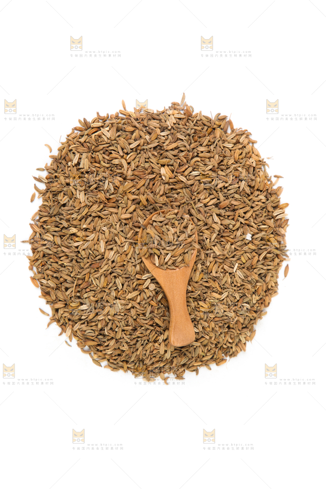 白底上一堆小茴香