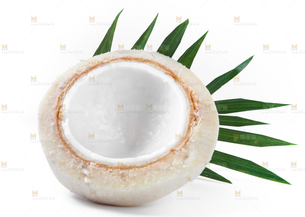 白底上青椰子