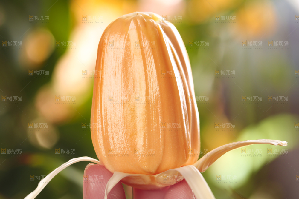 手里拿着新鲜菠萝蜜