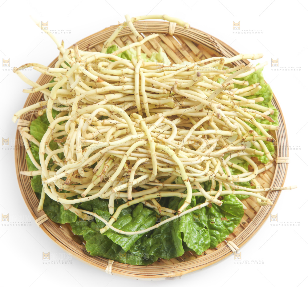 篮子里装着鱼腥草