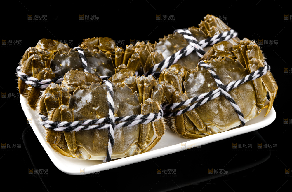 黑底上的鲜活螃蟹