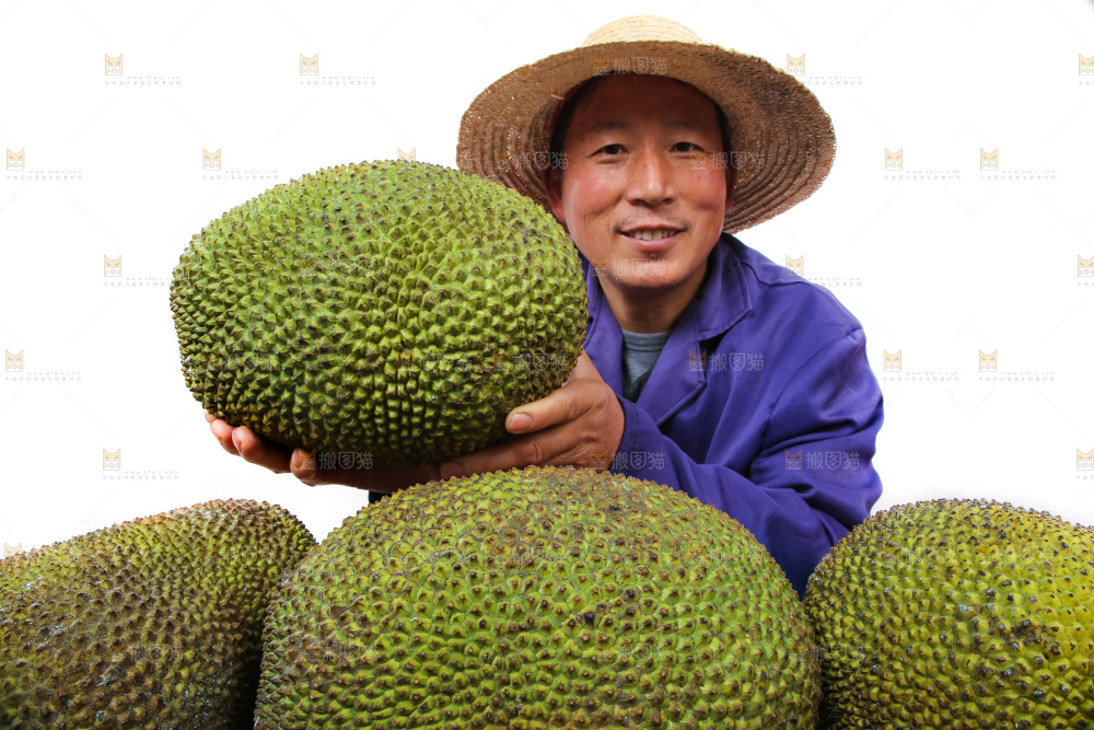 农民手里拿着菠萝蜜