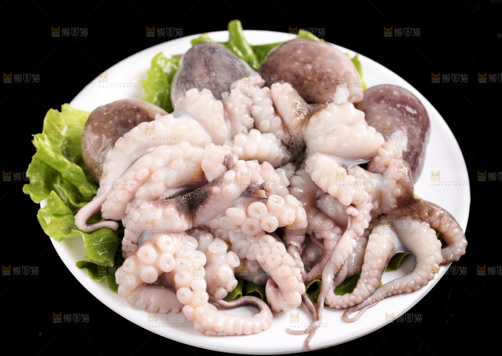 黑底上放着大连章鱼