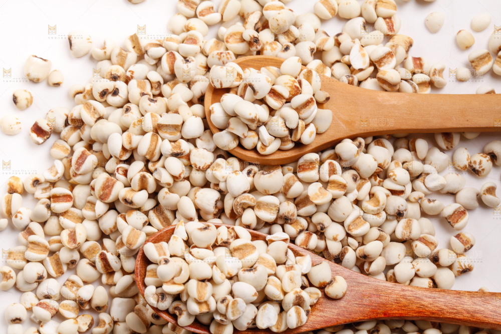 浅底上放着贵州薏米