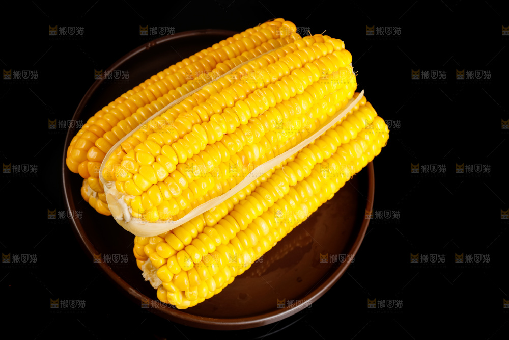 深底上的东北玉米