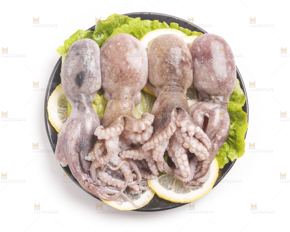 盘子里的大连章鱼