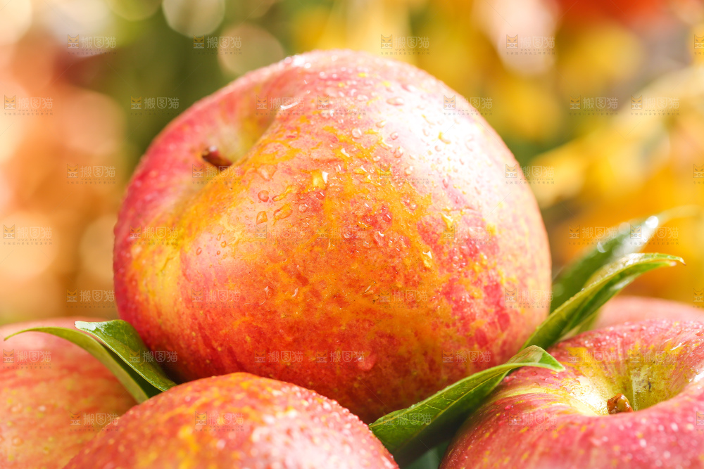 篮子里放着糖心丑苹果