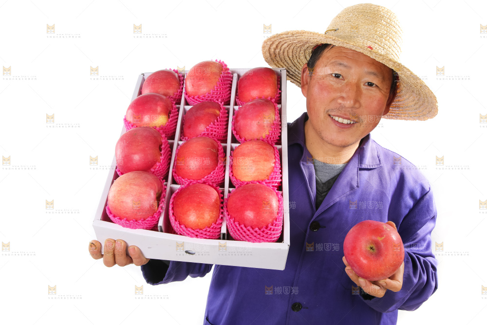 洛川苹果