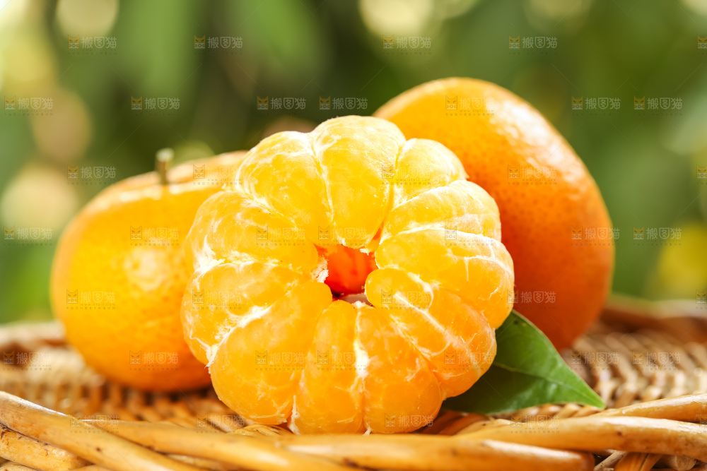 篮子里装着广西砂糖橘
