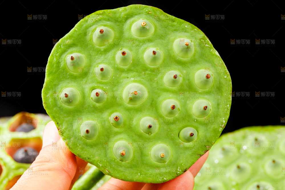 手拿水果莲蓬