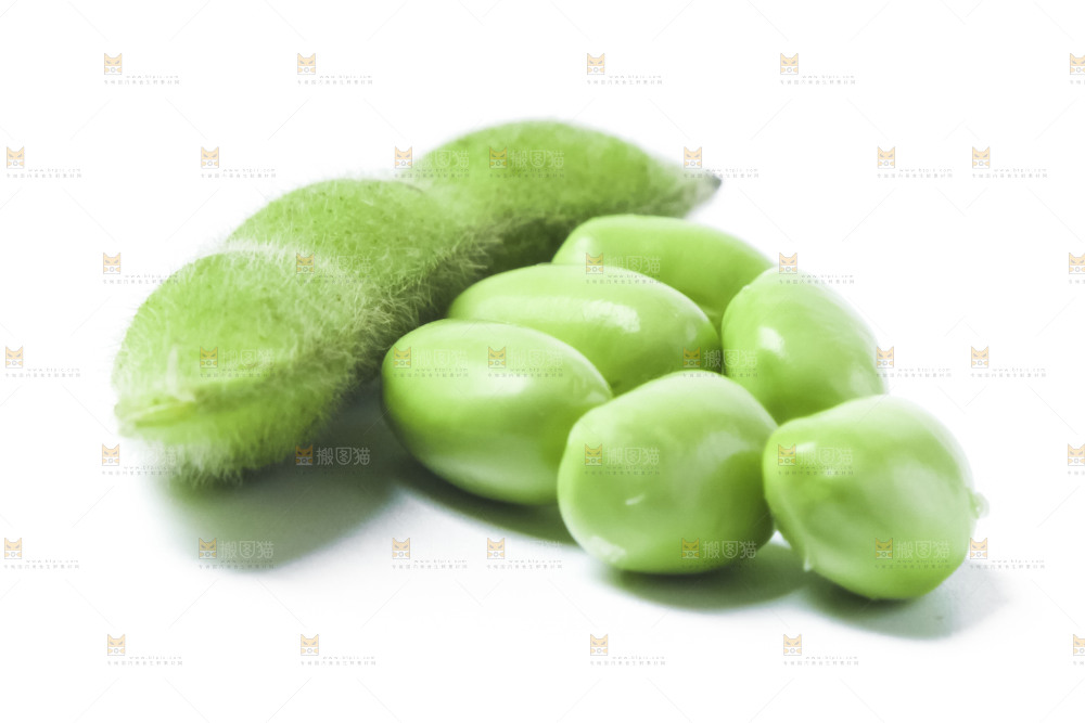 白底上的毛豆