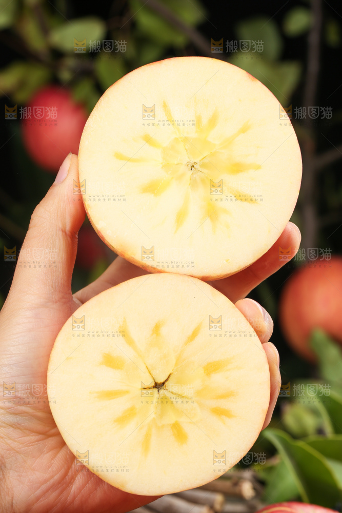 手里拿着阿克苏冰糖心苹果