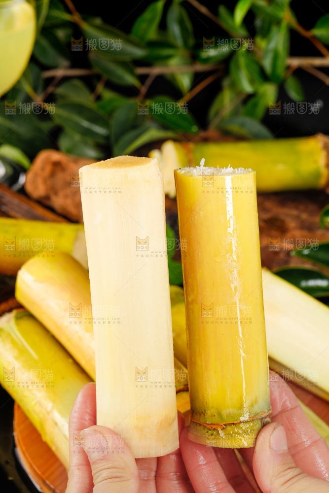 手里拿着新鲜甘蔗