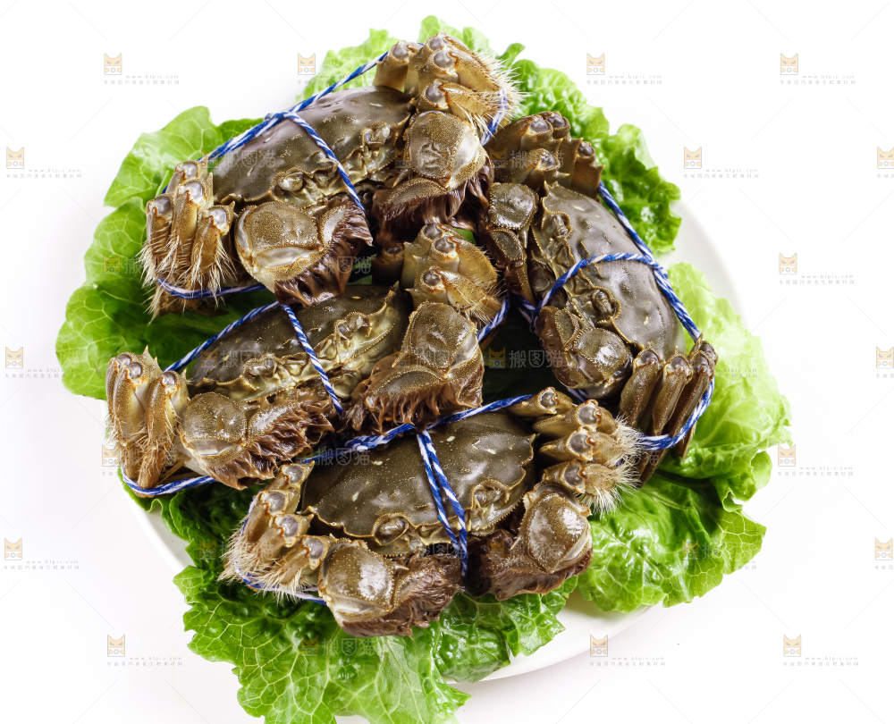 盘子里的阳澄湖大闸蟹
