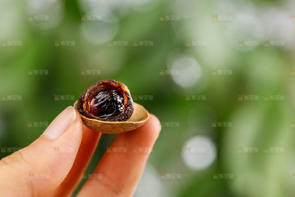 手拿去壳的桂圆